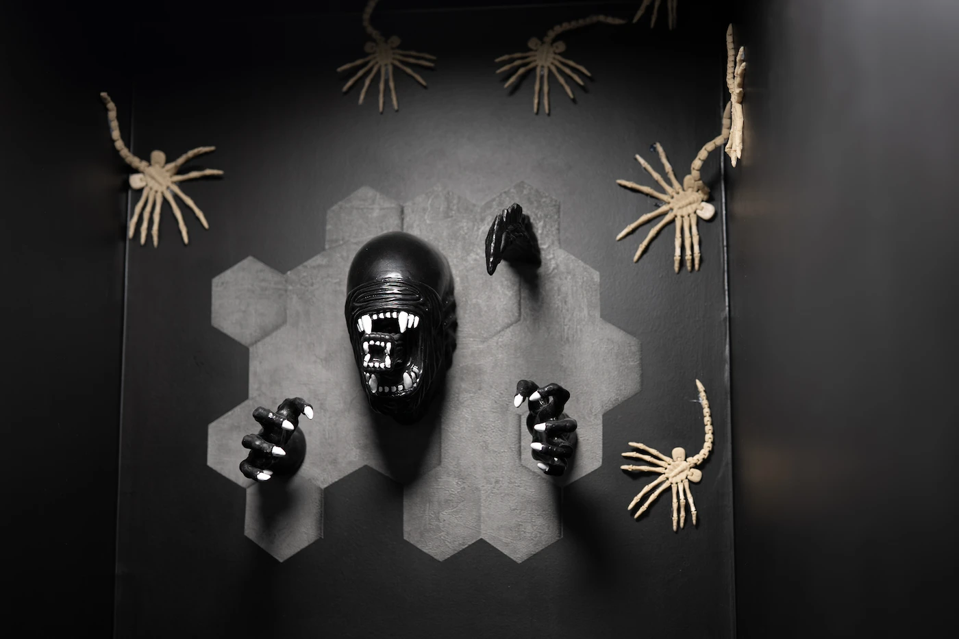 Capsule Aldébaran — décoration alien